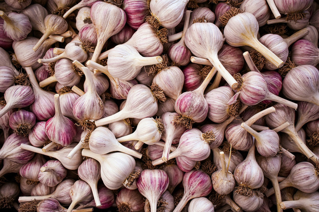 Cesnak – praktické využitie v domácnosti a prírodné spôsoby v duchu zero waste